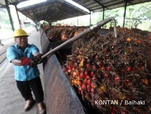 Kuartal I 2011, laba bersih AALI melonjak 140,5%