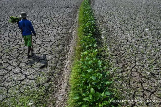 BMKG: El Nino Kuat, Sebagian Besar Wilayah Indonesia Alami Musim Kemarau Lebih Kering