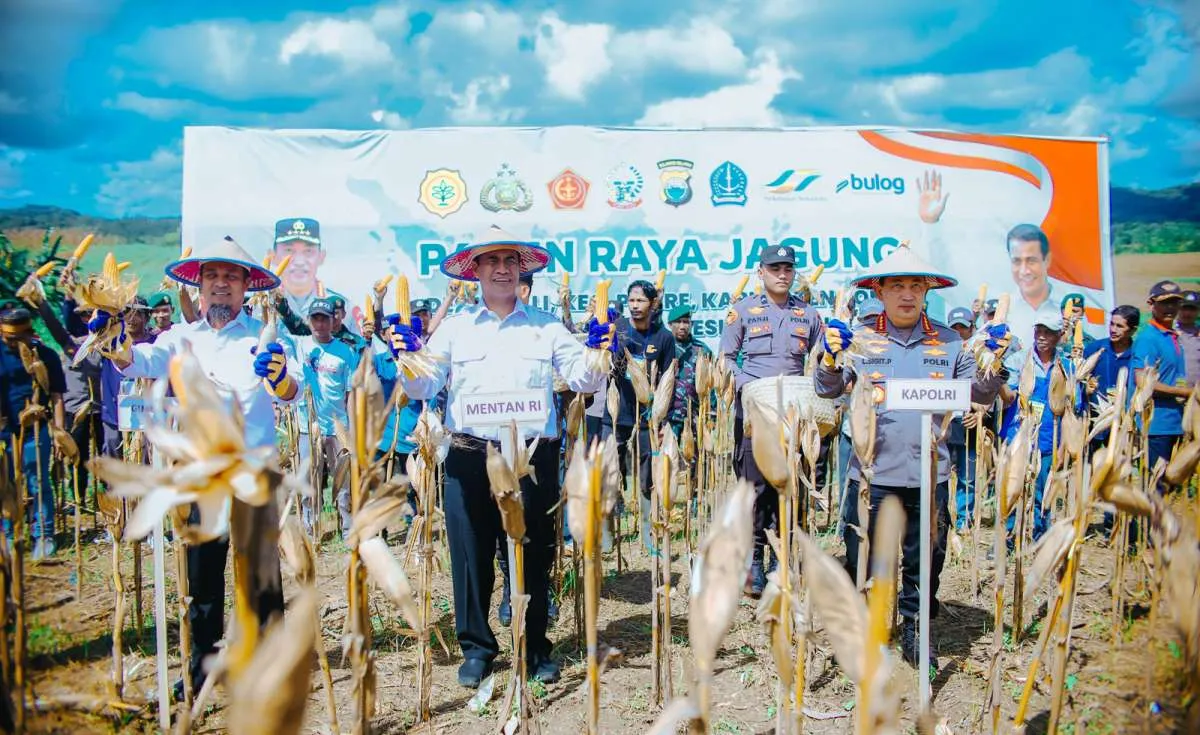 Pemerintah Siapkan Rp 5 Triliun untuk Menyerap 1 Juta Ton Jagung Produksi Petani