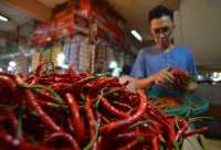 Anomali Pergerakan Inflasi di Awal 2025