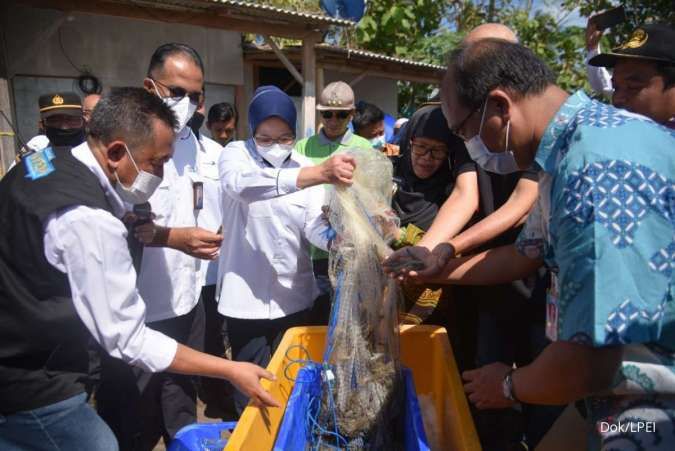 Bangun Desa Devisa Kluster Udang, LPEI Dorong UMKM Jawa Timur Lakukan Ekspor