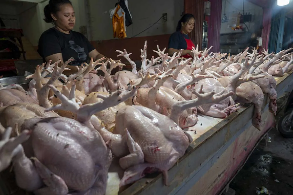 Daging ayam, minyak goreng, hingga emas perhiasan dorong inflasi pada April 2021