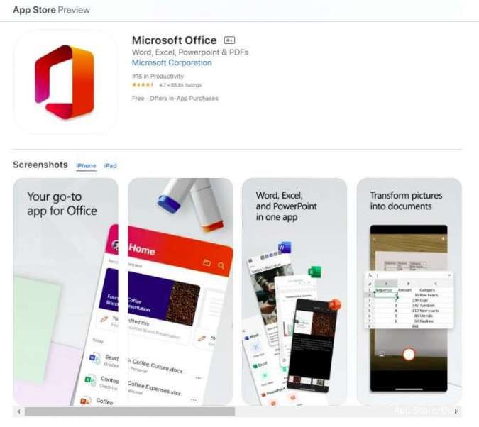 Microsoft Office di iPad