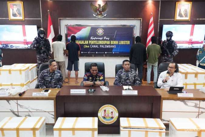TNI AL Gagalkan Penyelundupan 99.648 Ekor BBL di Pulau Rimau