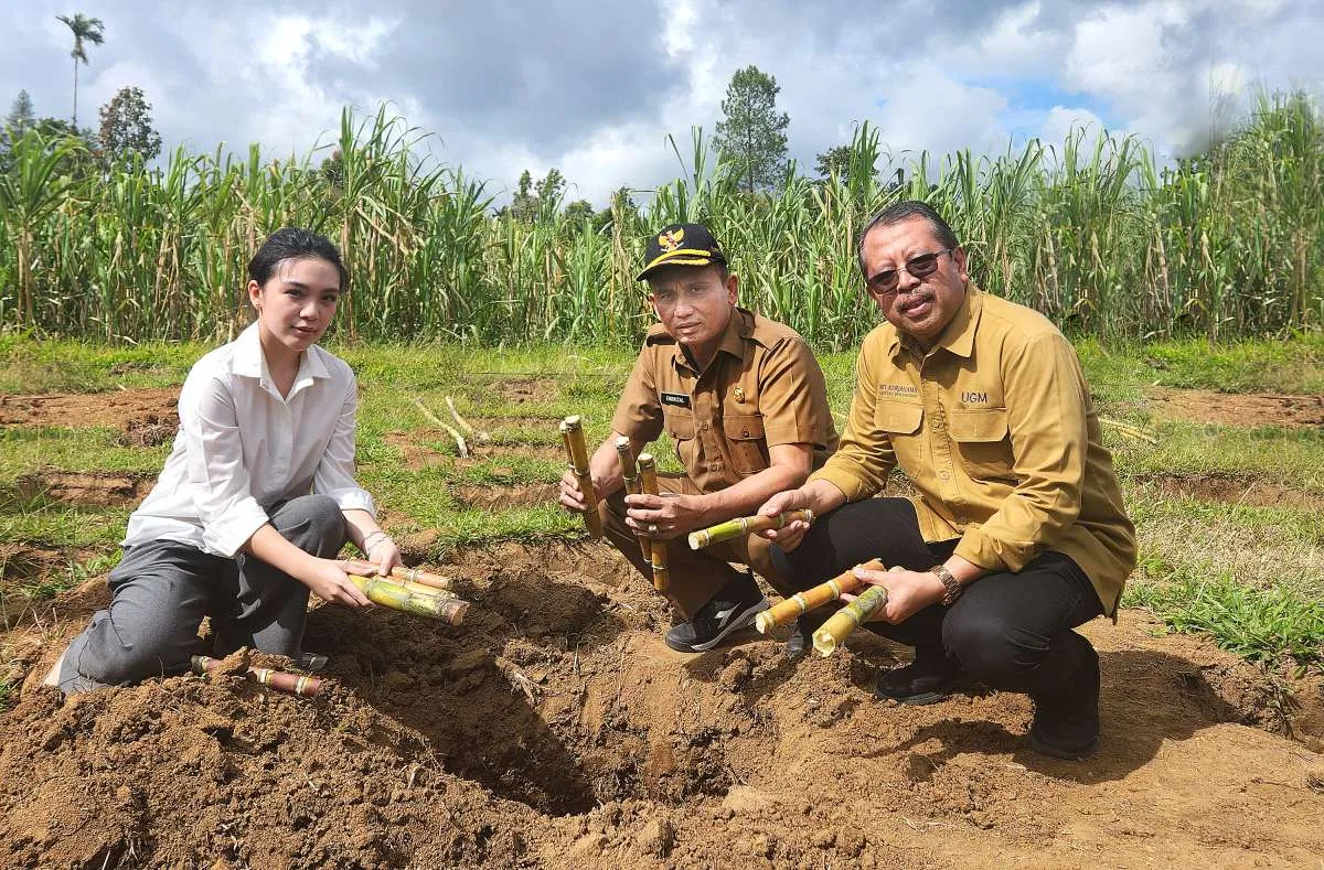 Penyuluhan Teknik Ringpit untuk Petani Tebu Kabupaten Agam:Sinergi Koperasi Kana&UGM 