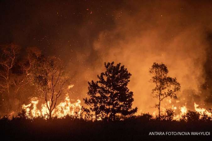 Gapki Mendukung Tim Satgas Karhutla Padamkan Api di Kalimantan Selatan