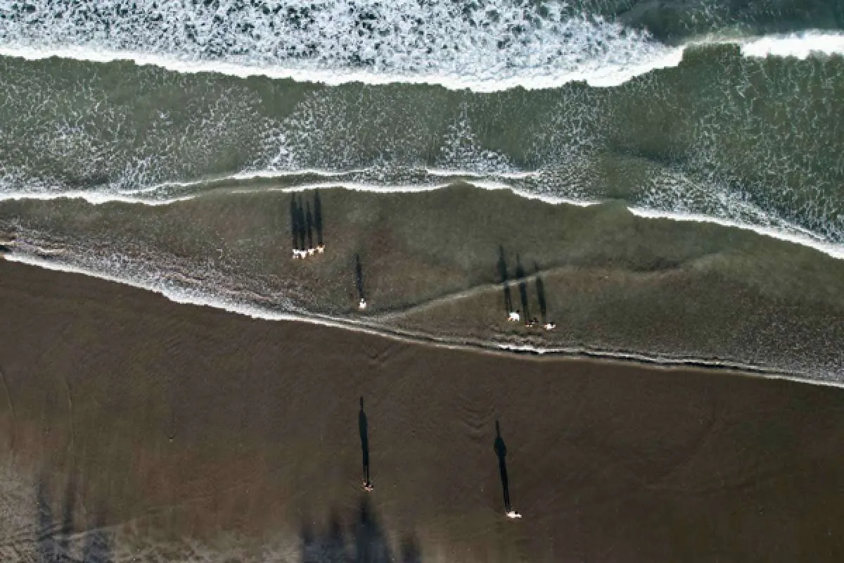 Kinerja Emiten Biro Perjalanan Mulai Menggeliat