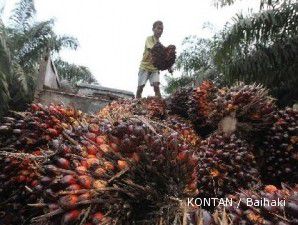 Kuartal I, laba AALI melonjak lebih dari dua kali lipat menjadi Rp 682,23 miliar