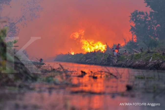 Hutan Amazon terbakar, Presiden Brasil Jair Bolsonaro minta dunia tak ikut campur