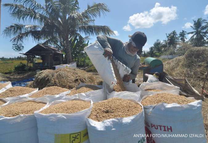 Produksi Beras pada Semester Kedua Diprediksi Menurun, Bapanas Bilang Begini