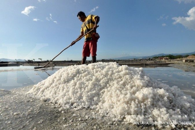 Produksi garam Cirebon dipastikan turun drastis