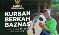 Cek Harga Sapi Kurban 1 atau 1/7 di Papua Barat Menurut Baznas Tahun 2025 Ini