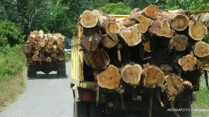 Hingga Mei, produksi kayu alam anjlok 71%