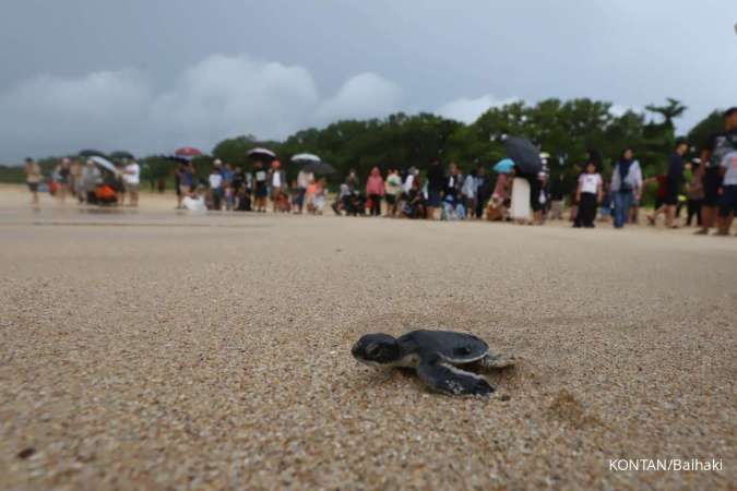 Awas Rugi Waktu! Jangan Sampai Liburan 3 Hari Gagal Hanya Karena Ini
