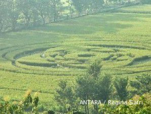 Sawah kejatuhan UFO Jumadi rugi Rp 750 ribu