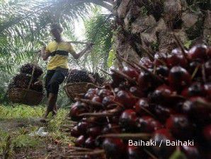 Harga CPO melorot selama tiga hari, investor lepas saham LSIP 