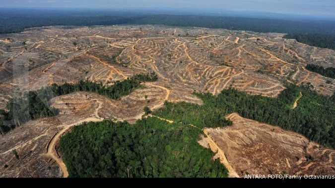 Target penerimaan negara sektor hutan diturunkan