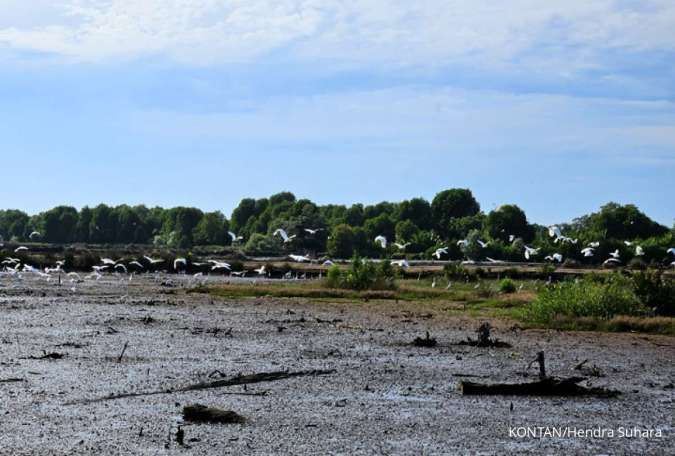 Prakiraan Cuaca Aceh Jumat, 27 Februari 2026: Wilayah Ini Berpotensi Hujan Ringan
