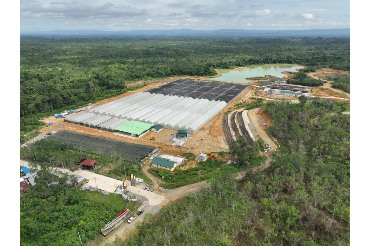 Mentawir: Kepingan Puzzle Aksi Mitigasi Perubahan Iklim di IKN