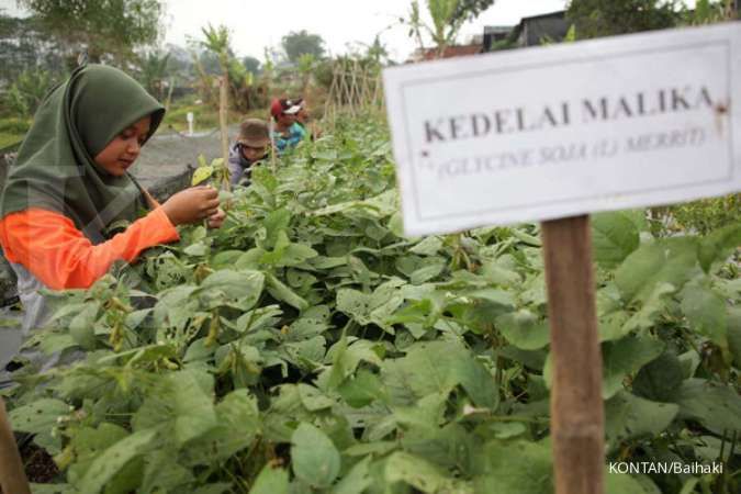 Dana Abadi Penelitian Bisa Tembus Rp 8 Triliun, Pemerintah Tetap Tagih Peran Swasta