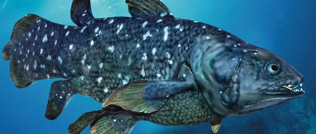 Hewan tertua di dunia: Coelacanth