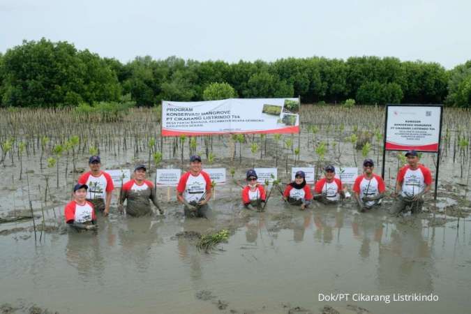 Peduli Lingkungan, Cikarang Listrindo Secara Berkelanjutan Melakukan Penanaman Mangrove di Muara Gembong