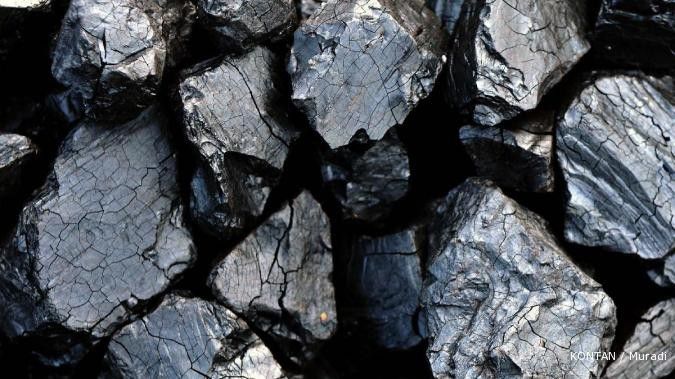 Bayan aims for 20m tons of coal production