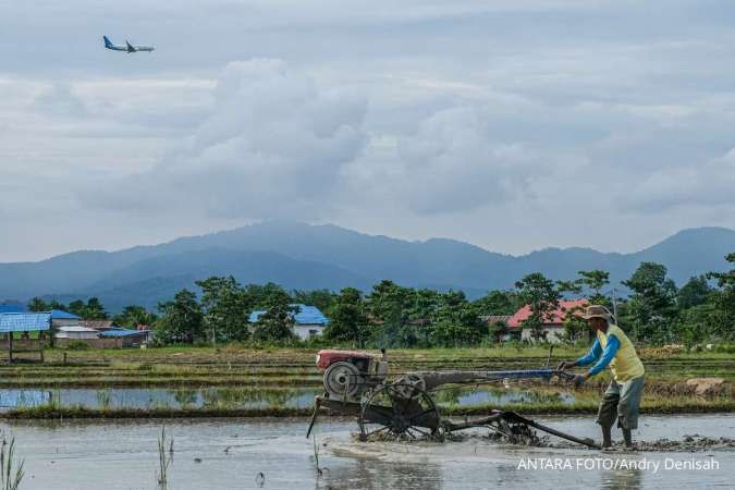 Tata Kelola Stabilisasi Harga Pangan