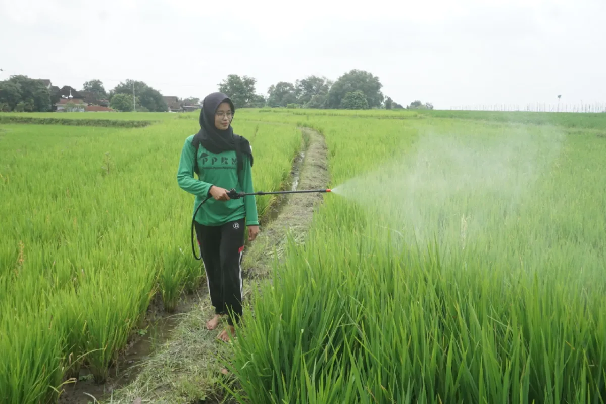 Widodo Makmur Perkasa (WMPP) Kembangkan Semangat Wirausaha Petani Muda Indonesia