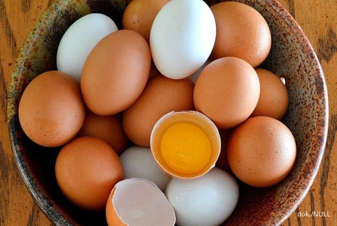 Dijamin Tak Mudah Busuk, Ikuti 5 Cara Tepat Simpan Telur biar Awet
