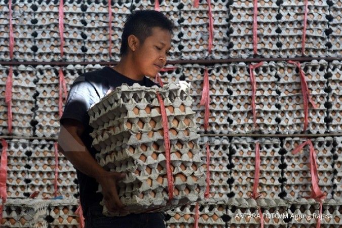 Ayam dan telur ilegal kian marak masuk Indonesia