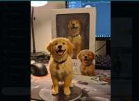 6 Prompt Gemini AI yang Wajib Dicoba, Buat Foto Viral dengan Langkah Berikut!