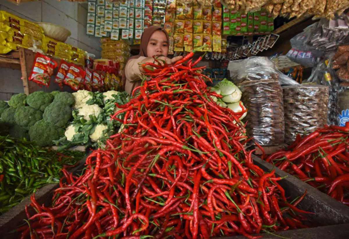Inflasi Akibat Kenaikan Harga Pangan Berpotensi Menambah Angka Kemiskinan
