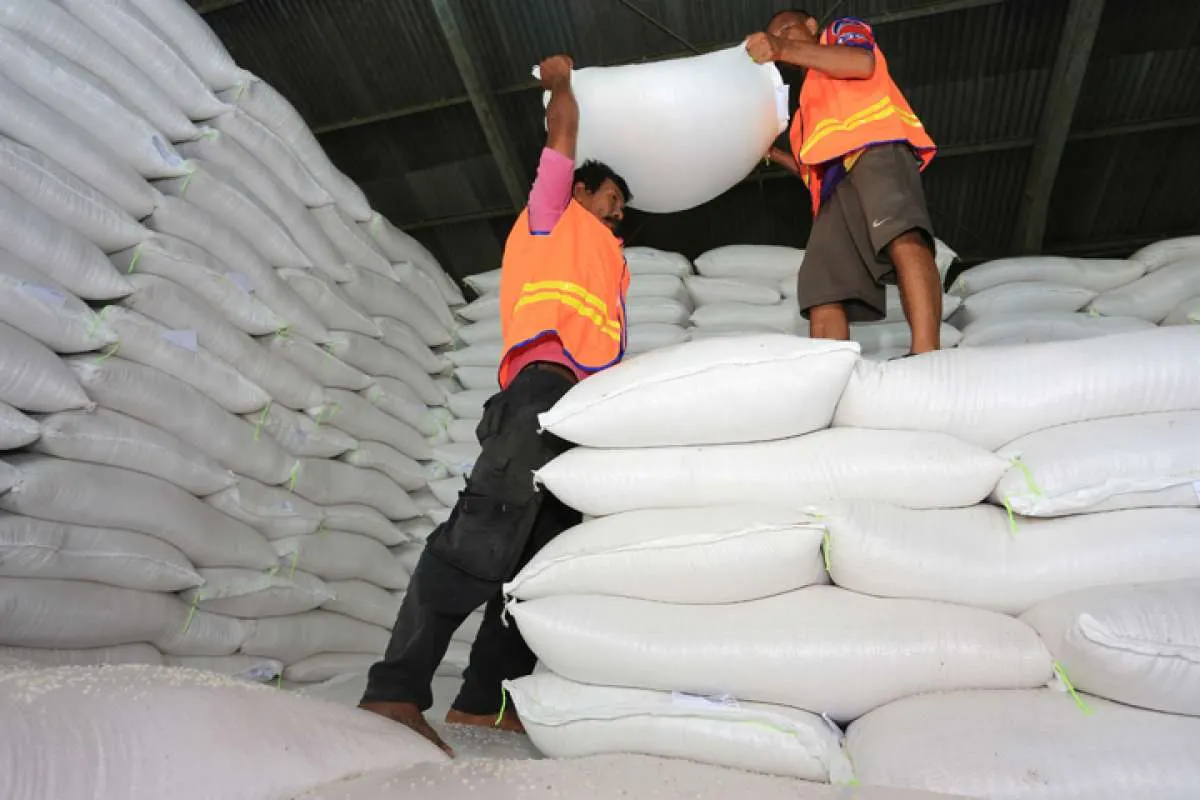Maksimalkan Penyerapan Beras, Perum Bulog Gunakan Skema Komersil