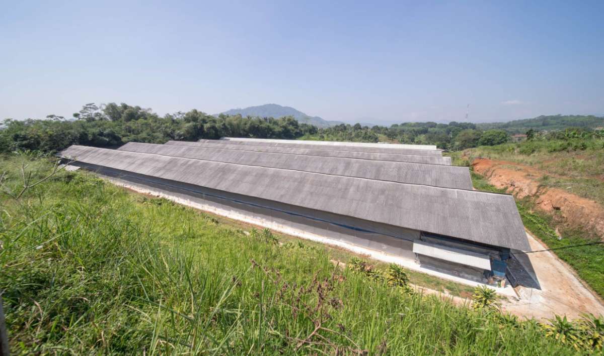Pasca IPO, Kokok Dewi Shri Farmindo (DEWI) Kian Nyaring