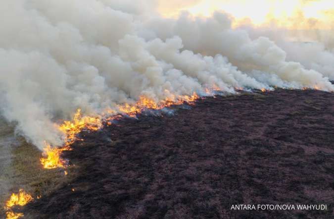 Ada El-Nino, Kemenhut Catat Kasus Karhutla Capai 81.000 Hektare Sepanjang Tahun 2026
