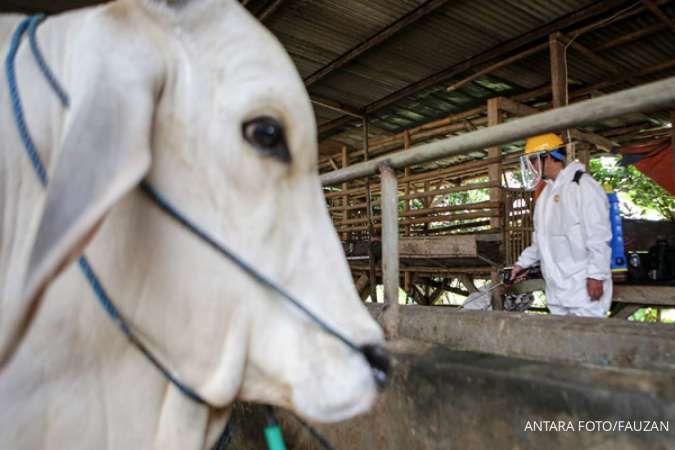 Imbas PMK, Pemerintah Larang Pergerakan Hewan Ternak di 1.765 Kecamatan