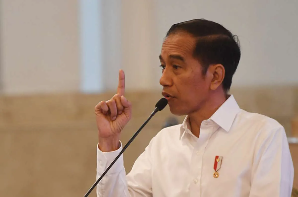 Jokowi minta Pemda konsultasi dengan BNPB tetapkan status daerah terkait virus corona