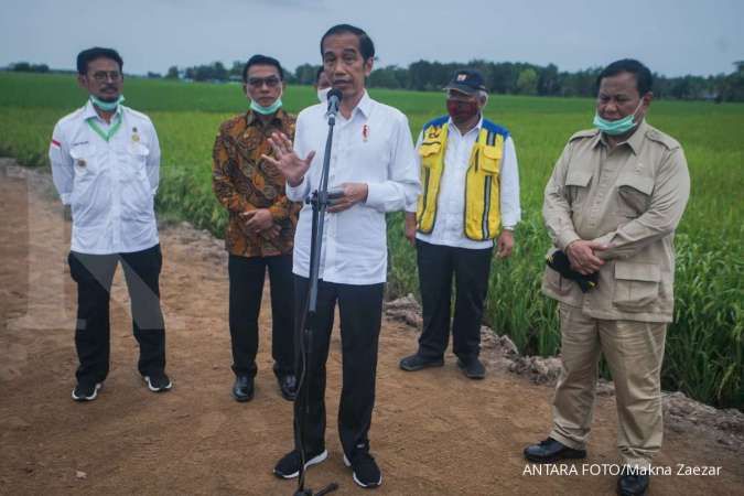 Kementan targetkan produktivitas padi di food estate Kalteng capai 5 ton per ha