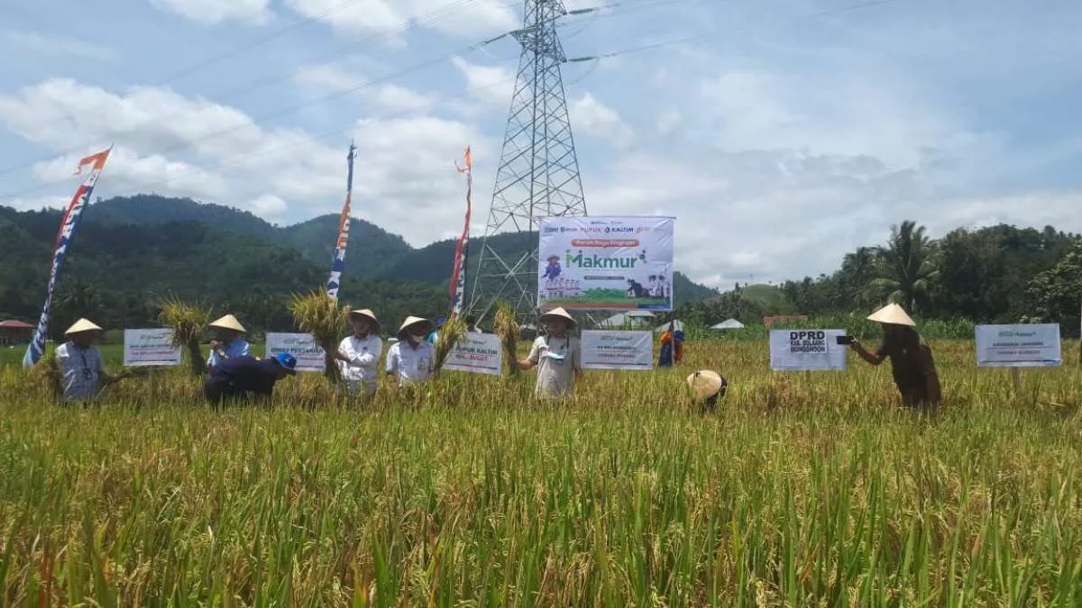 Jelang Hari Pangan Sedunia, PPI lakukan panen raya lewat Agro Solution