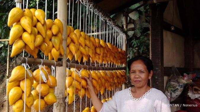 Bertandang ke sentra buah langka alkesa (1)