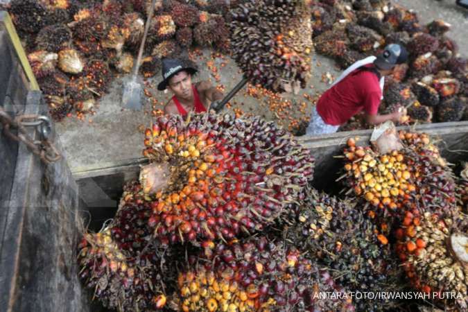 Ekspor CPO Malaysia diboikot India, begini nasib industri sawit dalam negeri