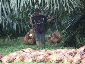 Musim dingin menghangatkan harga CPO