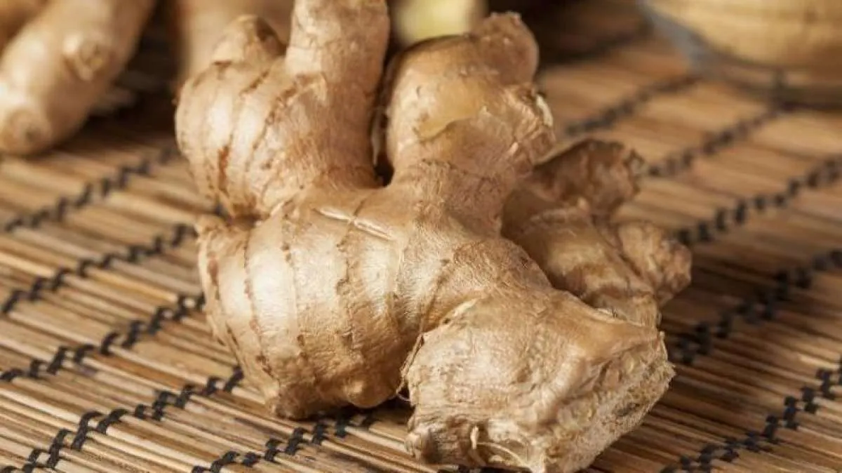 6 Obat herbal untuk asam lambung yang bisa Anda buat sendiri di rumah