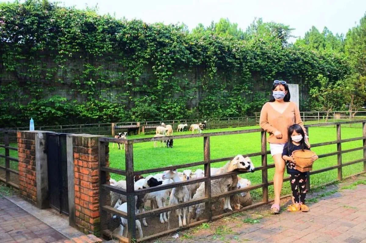 Kuntum Farmfield, wisata edukasi dengan konsep ‘back to nature’