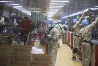 Cek Rekomendasi Saham Mayora Indah (MYOR) yang Makin Ngebut di Kuartal IV-2025