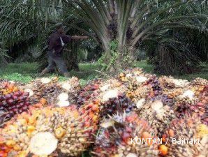 Permintaan surut, CPO tumbang ke level terendah empat bulan