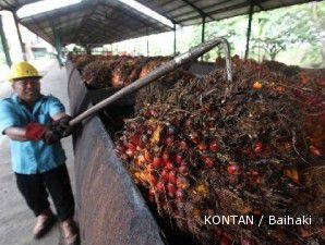 Indonesia bakal pangkas pajak CPO pada April mendatang