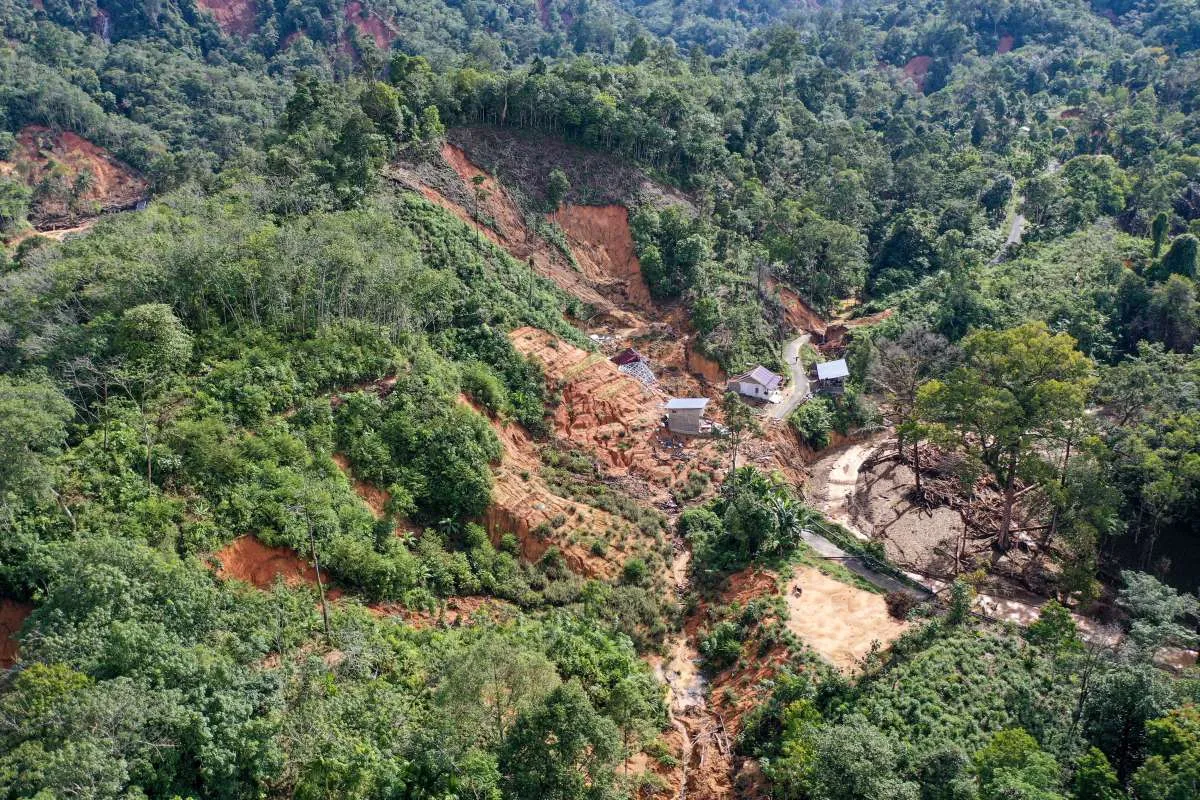 Pelaku Tambang Soroti Ketimpangan Besaran Denda Pelanggaran Kawasan Hutan