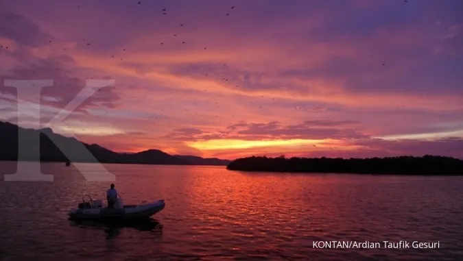 Foreign investors compete for Komodo Airport